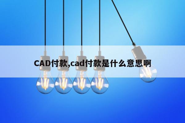 CAD付款,cad付款是什么意思啊