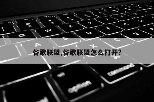 谷歌联盟,谷歌联盟怎么打开?