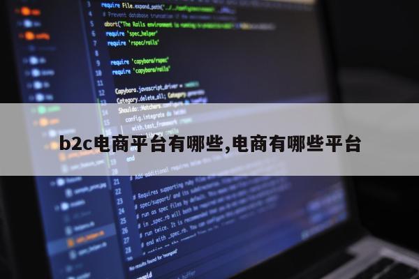 b2c电商平台有哪些,电商有哪些平台