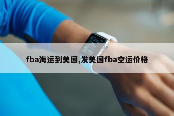 fba海运到美国,发美国fba空运价格