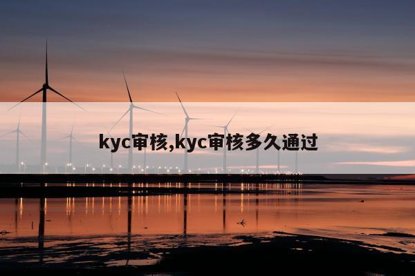 kyc审核,kyc审核多久通过