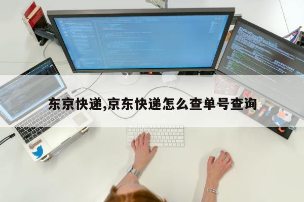 东京快递,京东快递怎么查单号查询