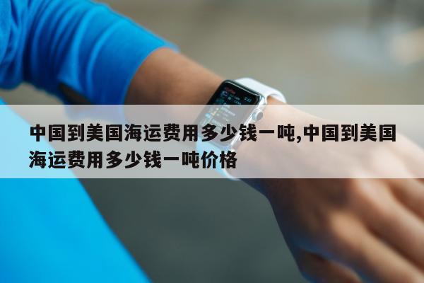 中国到美国海运费用多少钱一吨,中国到美国海运费用多少钱一吨价格