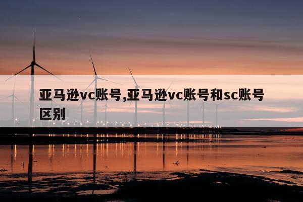 亚马逊vc账号,亚马逊vc账号和sc账号区别