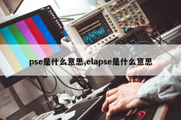 pse是什么意思,elapse是什么意思