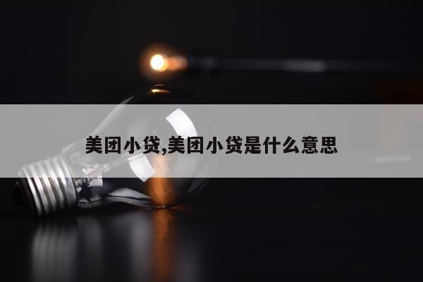 美团小贷,美团小贷是什么意思