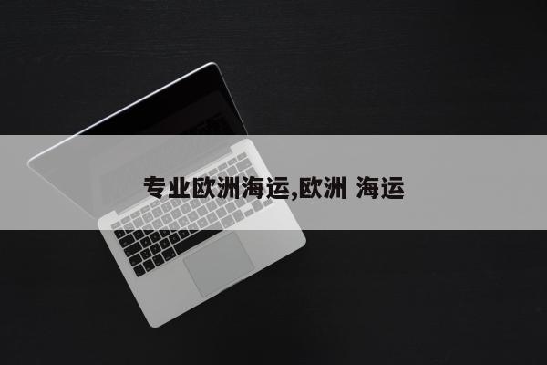 专业欧洲海运,欧洲 海运