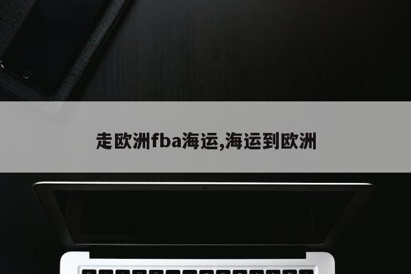 走欧洲fba海运,海运到欧洲