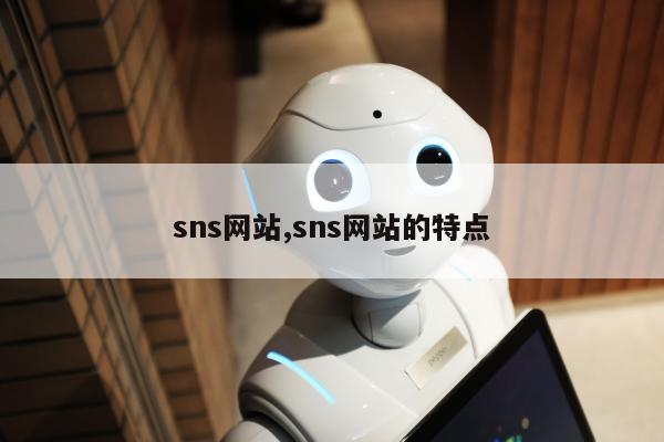 sns网站,sns网站的特点