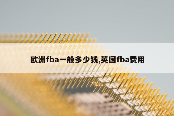 欧洲fba一般多少钱,英国fba费用