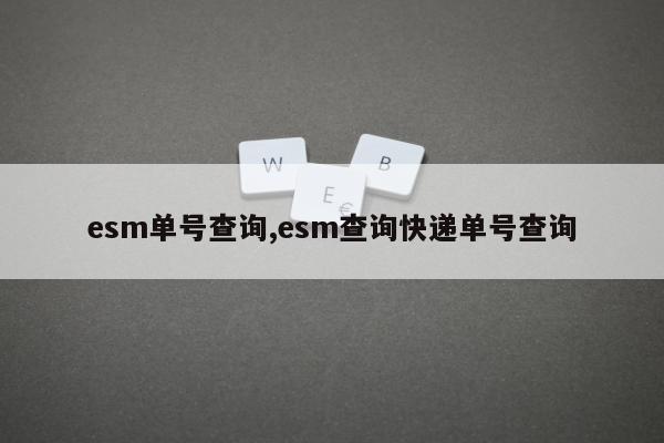 esm单号查询,esm查询快递单号查询