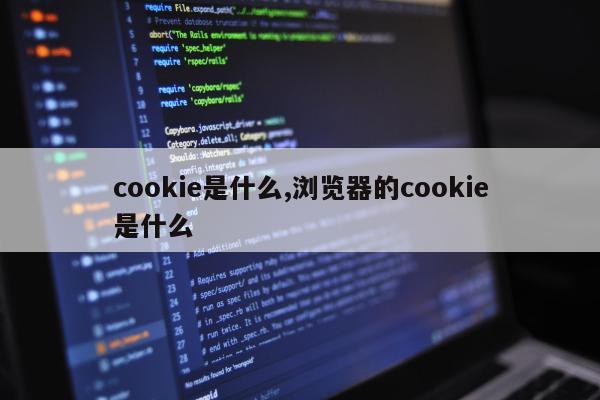 cookie是什么,浏览器的cookie是什么