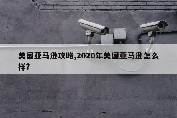 美国亚马逊攻略,2020年美国亚马逊怎么样?