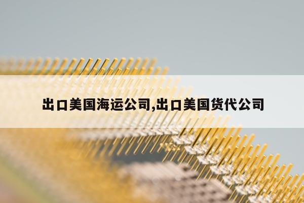 出口美国海运公司,出口美国货代公司