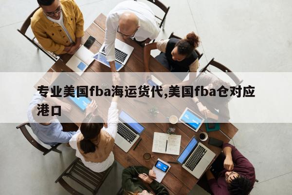 专业美国fba海运货代,美国fba仓对应港口