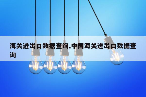 海关进出口数据查询,中国海关进出口数据查询