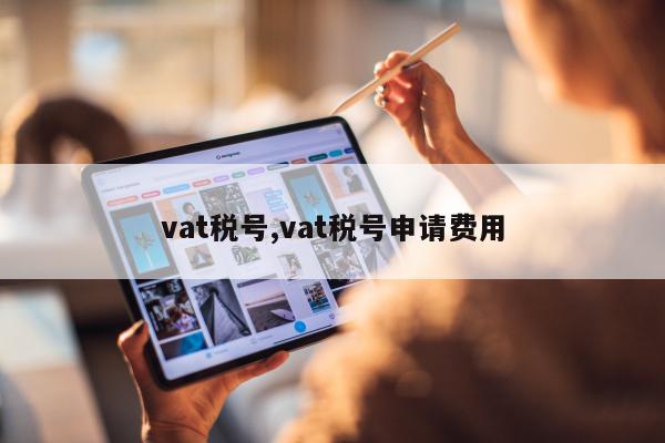 vat税号,vat税号申请费用