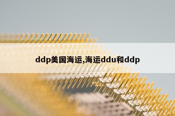 ddp美国海运,海运ddu和ddp