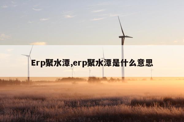 Erp聚水潭,erp聚水潭是什么意思