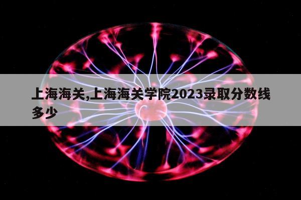 上海海关,上海海关学院2023录取分数线多少