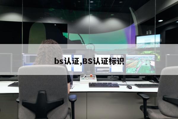 bs认证,BS认证标识