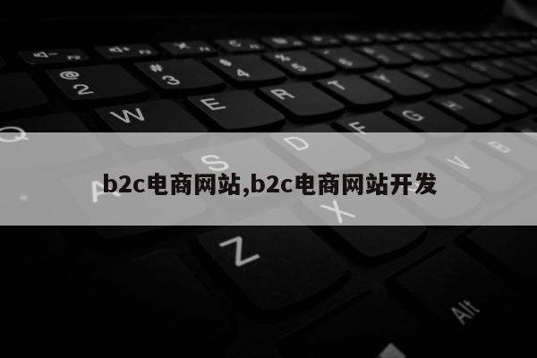 b2c电商网站,b2c电商网站开发