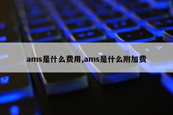 ams是什么费用,ams是什么附加费