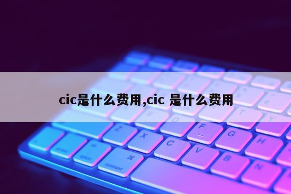 cic是什么费用,cic 是什么费用