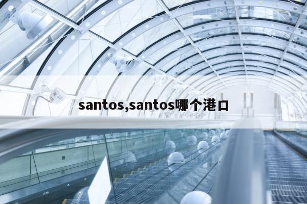 santos,santos哪个港口