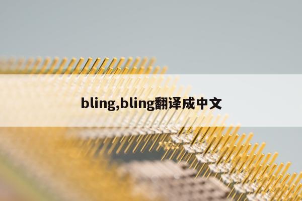 bling,bling翻译成中文