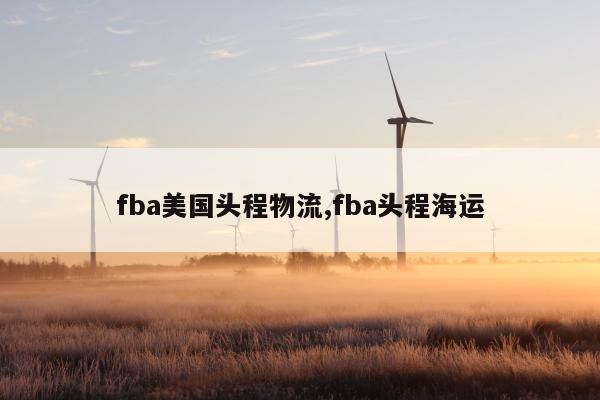 fba美国头程物流,fba头程海运