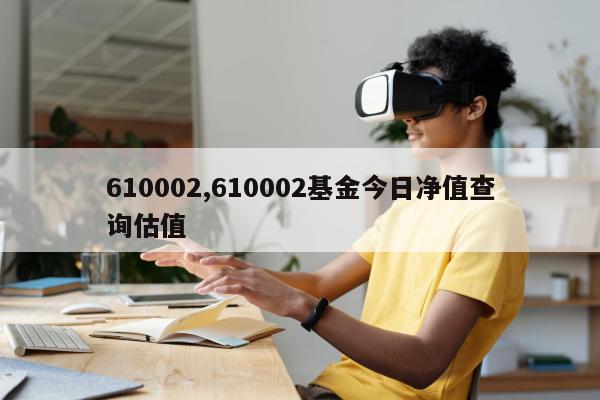 610002,610002基金今日净值查询估值