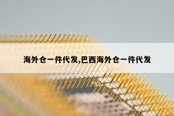 海外仓一件代发,巴西海外仓一件代发