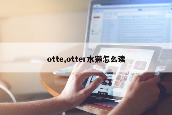 otte,otter水獭怎么读