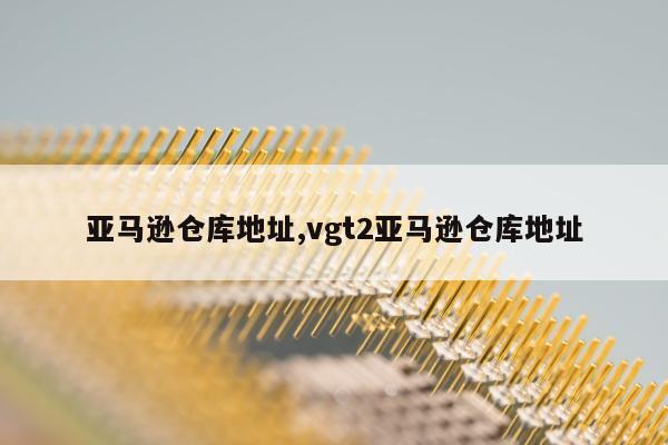 亚马逊仓库地址,vgt2亚马逊仓库地址