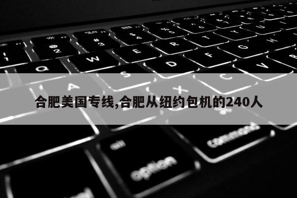 合肥美国专线,合肥从纽约包机的240人