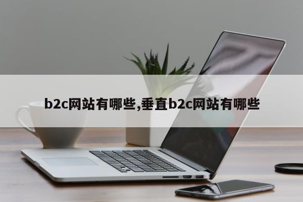 b2c网站有哪些,垂直b2c网站有哪些