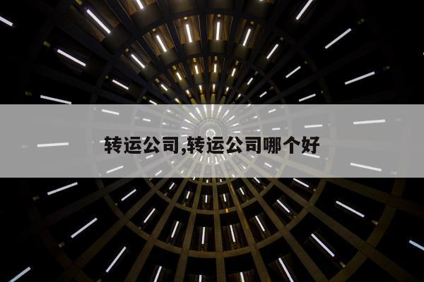 转运公司,转运公司哪个好