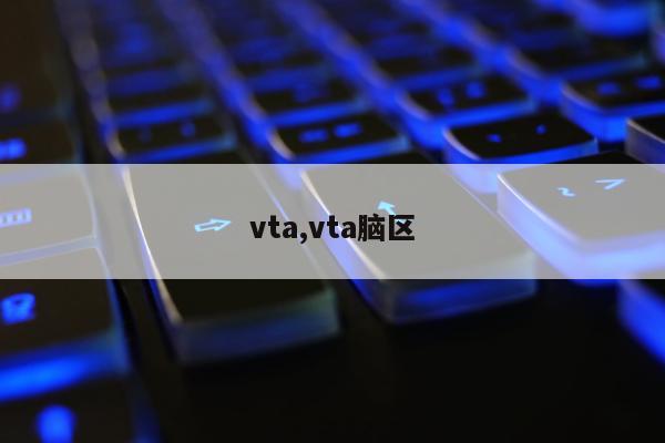 vta,vta脑区