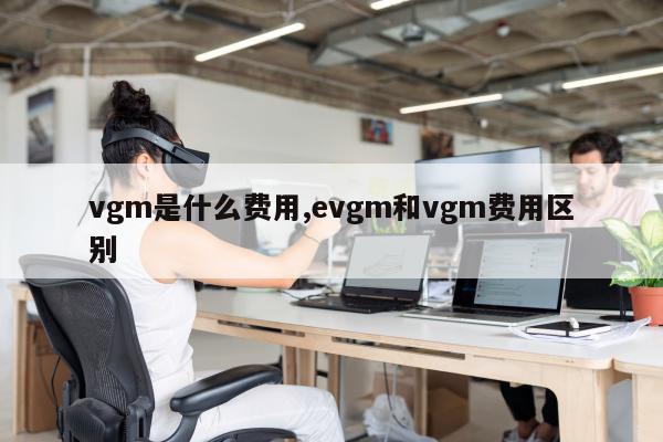 vgm是什么费用,evgm和vgm费用区别