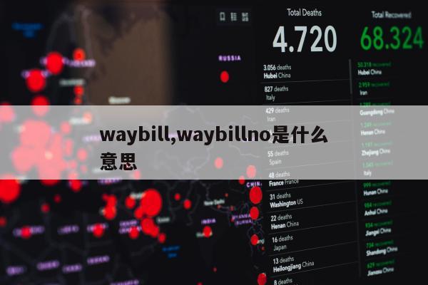 waybill,waybillno是什么意思