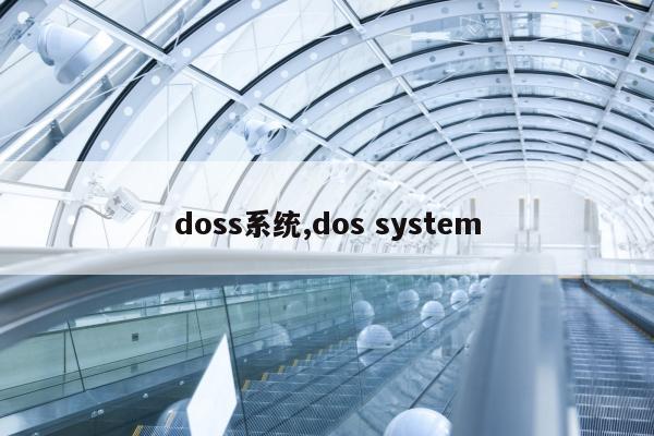 doss系统,dos system