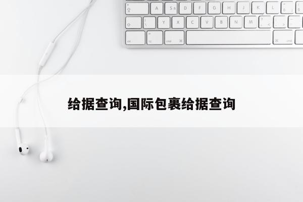 给据查询,国际包裹给据查询