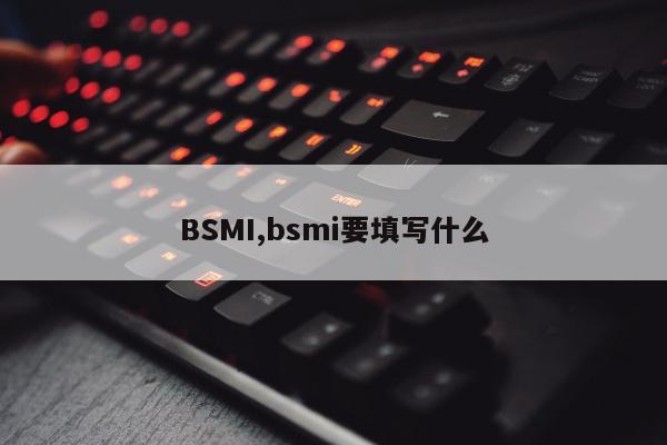 BSMI,bsmi要填写什么