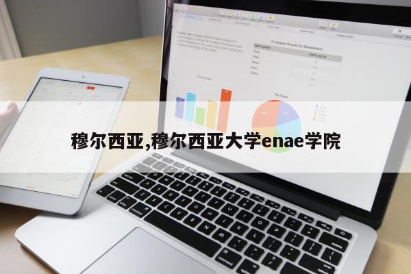 穆尔西亚,穆尔西亚大学enae学院