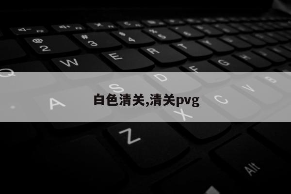 白色清关,清关pvg