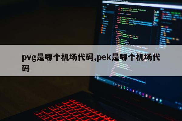 pvg是哪个机场代码,pek是哪个机场代码