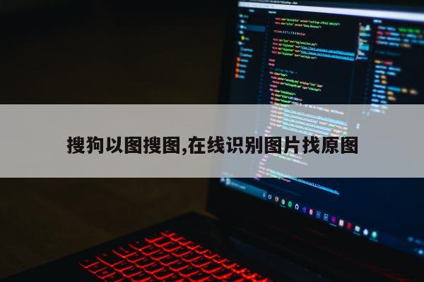 搜狗以图搜图,在线识别图片找原图