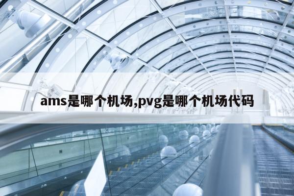 ams是哪个机场,pvg是哪个机场代码