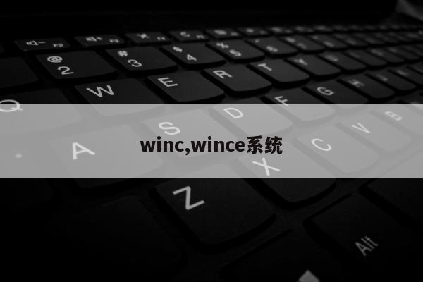 winc,wince系统